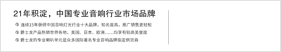 21年積澱，中國專業音響行業市場品牌
